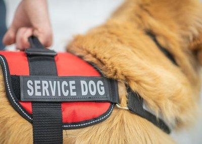 Untitled design(8).jpg